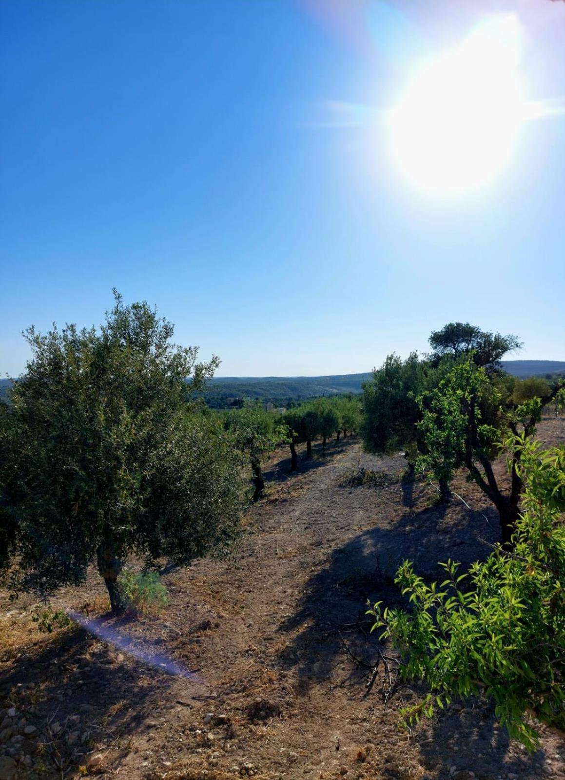 "Bnb Noto" - Charming Tiny House Exterior foto